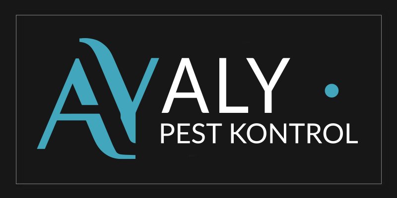 Kadıköy Böcek İlaçlama