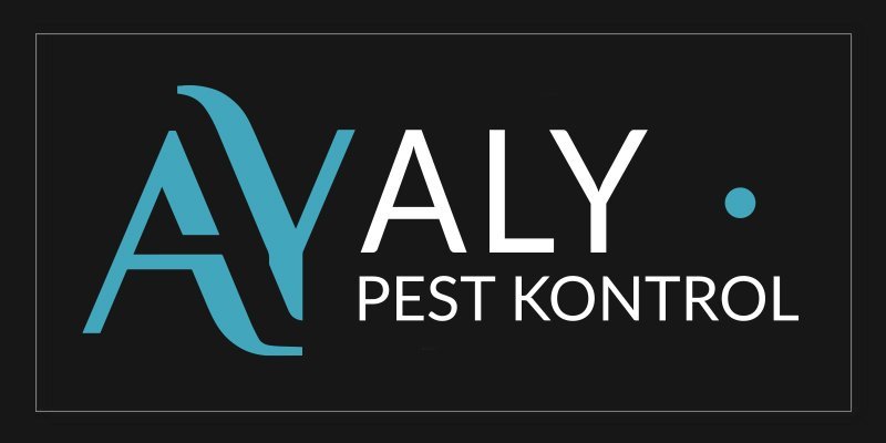 Zeytinburnu Böcek İlaçlama