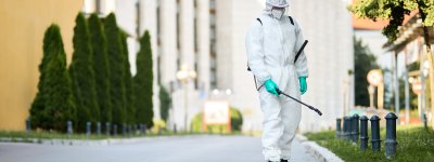 Maymuncuk Böceği İlaçlama